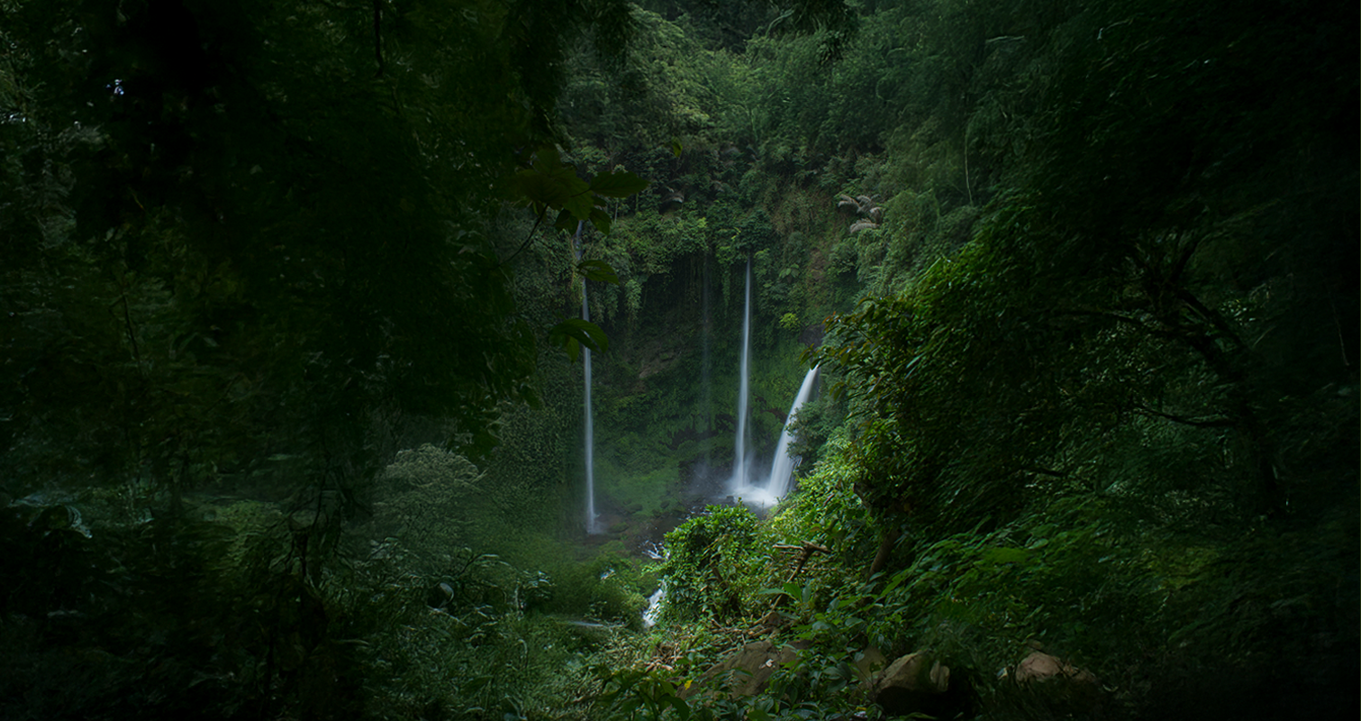 Quiénes somos fondo